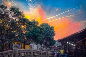 _DSC3485