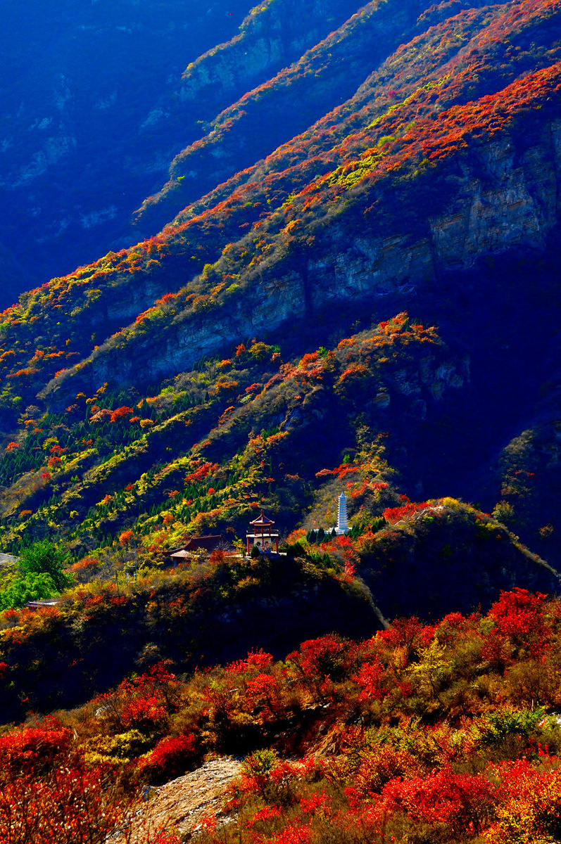 浓情烈焰坡峰岭