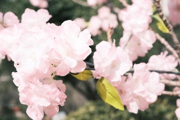 D79188AE-308D-4BCE-8174-C281BEC84150/L0/001