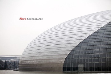 IMG_4594_PS