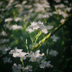 惠山