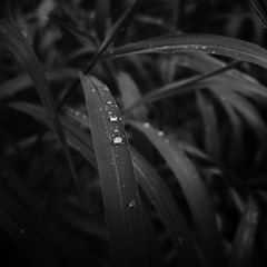 P1030616