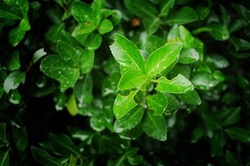 P1040017