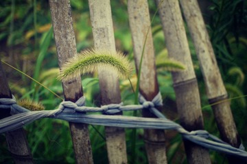 P1040028