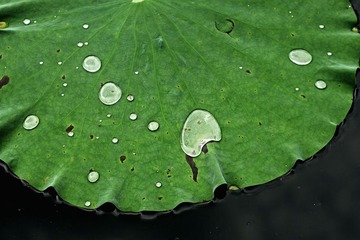 P1040042