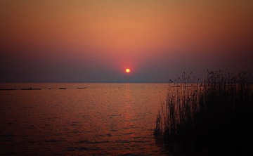 IMG_3461-编辑.jpg