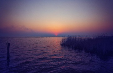 IMG_3464-编辑.jpg