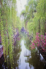 IMG_3570-编辑.jpg