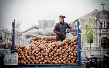 IMG_3627-编辑.jpg