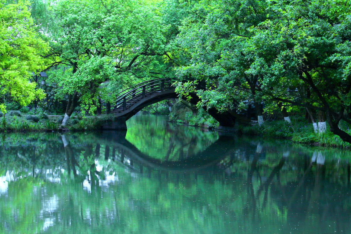 春色西湖#小桥流水绿堪染