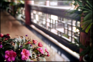 成都旅舍 2007