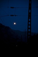 _DSC8165.jpg