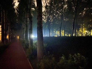 龙门-丁