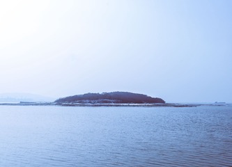_DSC6382