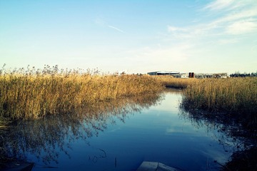 SDIM0192_DxO_