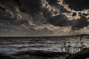 DSC_9448_