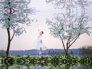 花 - 24