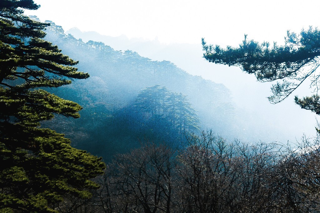 白天，一路上唯一在山上有感的风景