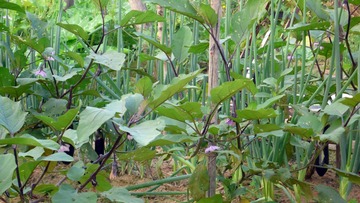 P1280744