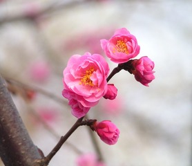 PICT0085