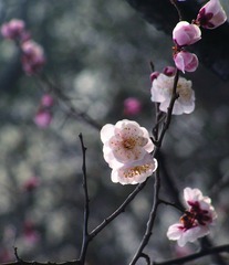 PICT0141_