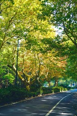 yanggongdi 001