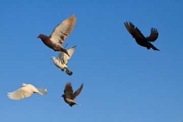 IMG_6820.jpg