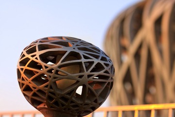 bird_nest.jpg