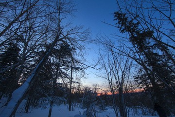 IMG_7628.jpg