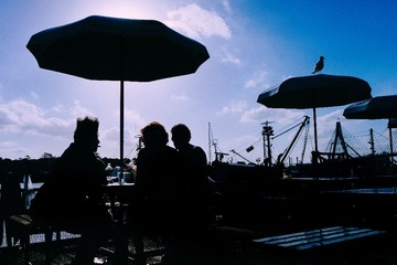 talkinginfishmarket
