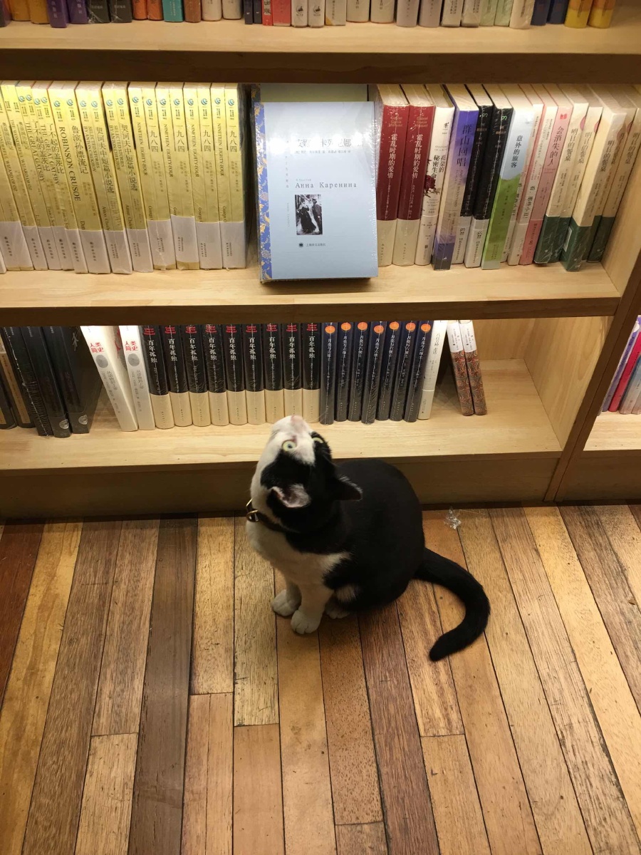 宠物店卖什么