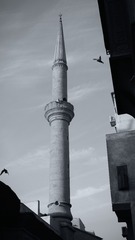 1000052148
