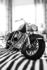 hello moto