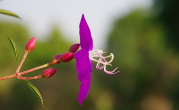 IMGP2943_