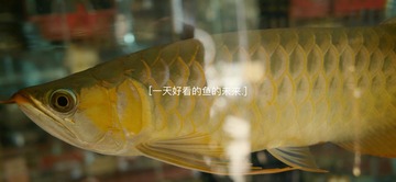 9DAE8D4D-09FF-472F-8A47-1F99769B91AD/L0/001