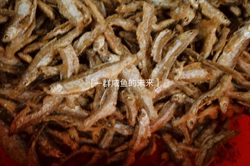 893D1BBA-800B-4CF1-A811-F6A0AC7823C2/L0/001
