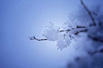 2203173