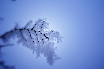 2203175