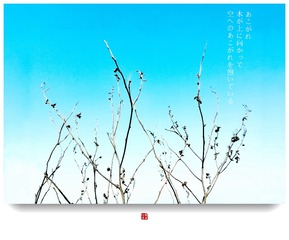 IMG_20170211_153200副