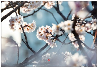 HYP_7267副