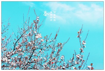 HYP_7231副