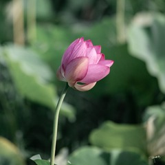 63E185C5-ABFA-4976-89E9-8AD87404CF04/L0/001