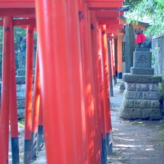 YUES0706