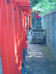 YUES0704