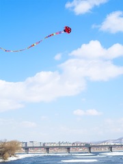 _IGP2265