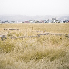 Half Moon Bay