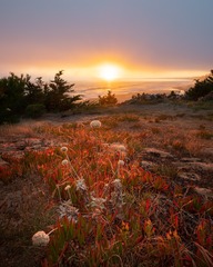 Gazos Creek State Beach