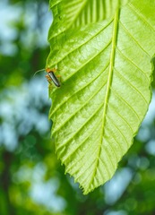 443AB72C-EAB6-4C8B-B5C2-C6BDAED94E4C/L0/001
