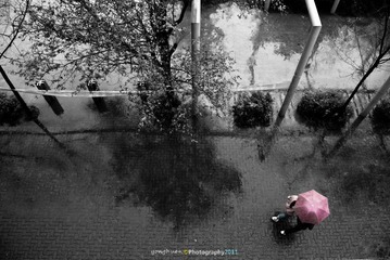 校园的雨后···