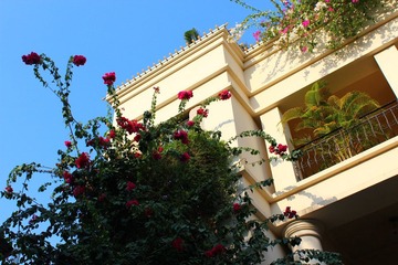 IMG_5377.JPG